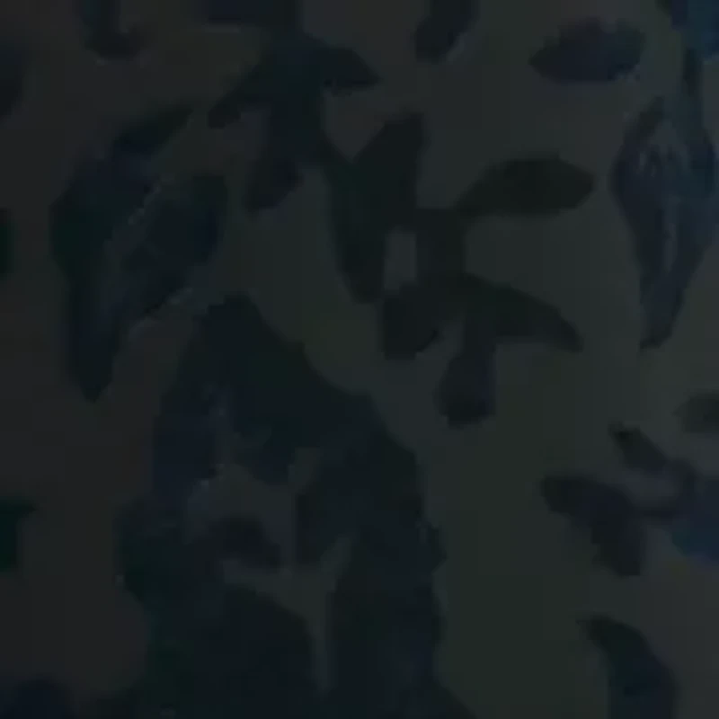 Women's Velvet Burnout Midi Dress