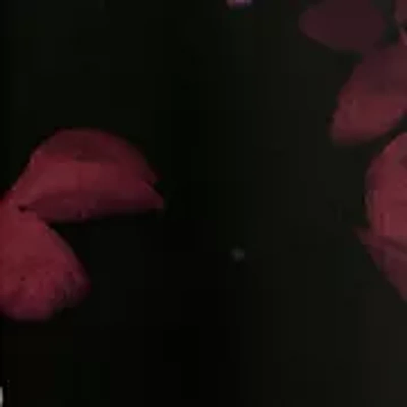 Plus Long Sleeve V-Neck Chiffon Floral Print Dress