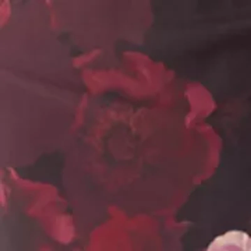 Women's Side Ruched Printed Midi Dress