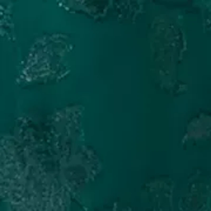 Women's Ruched Split-Neck Midi Dress