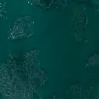 Women's Ruched Split-Neck Midi Dress