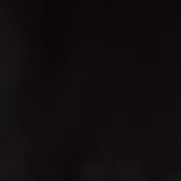 Women's Printed Scuba Jacket Dress