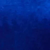 Plus 3/4 Sleeve Solid Velvet Tiered Fit and Flare Dress