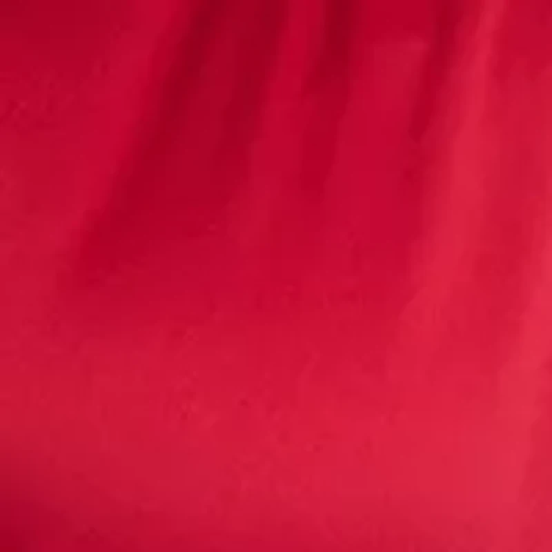 Women's Puff Sleeve V-Neck Fit and Flare Dress