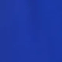 Plus 3/4 Sleeve Solid Tie Waist Chiffon Dress