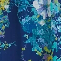 Plus Frill Short Sleeve V-Neck Floral Print Chiffon Fit and Flare Dress