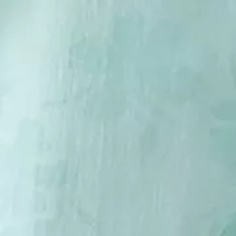 Women's Flutter Sleeve Floral Print Chiffon Dress