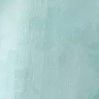 Women's Flutter Sleeve Floral Print Chiffon Dress