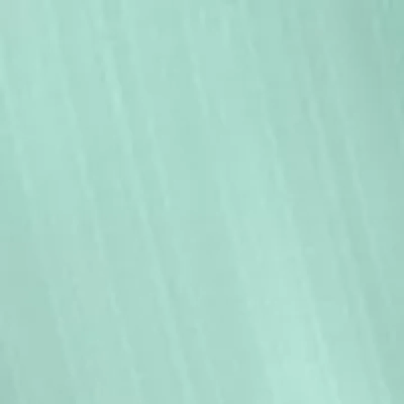 Women's Flutter Sleeve Solid Fit and Flare Dress