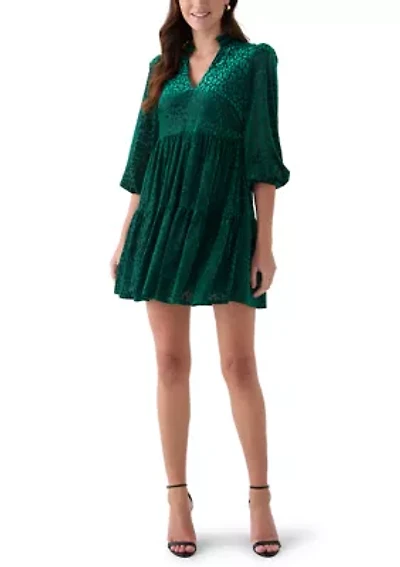 Women's 3/4 Sleeve V-Neck Animal Print Burnout Dress