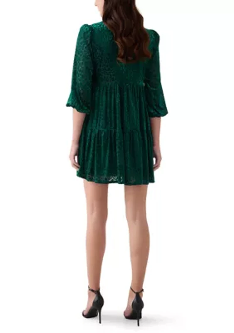 Women's 3/4 Sleeve V-Neck Animal Print Burnout Dress