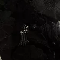 Women's Sleeveless Square Neck Sequin Embellished Gown