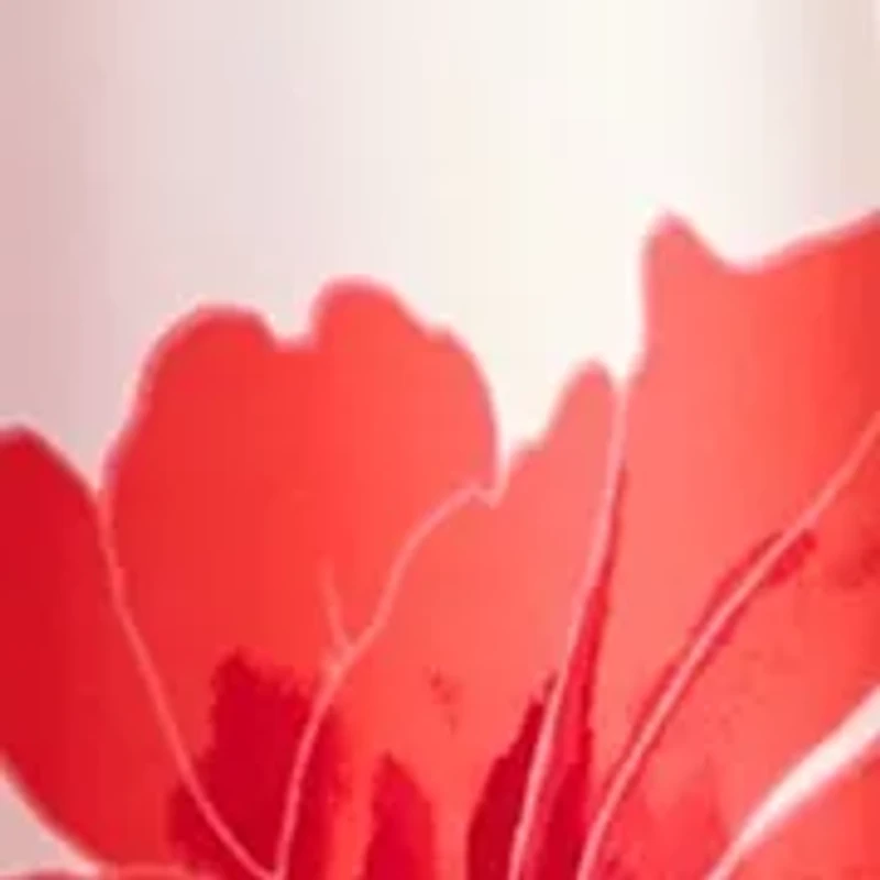 Women's Short Sleeve V-Neck Floral Print Fit and Flare Dress