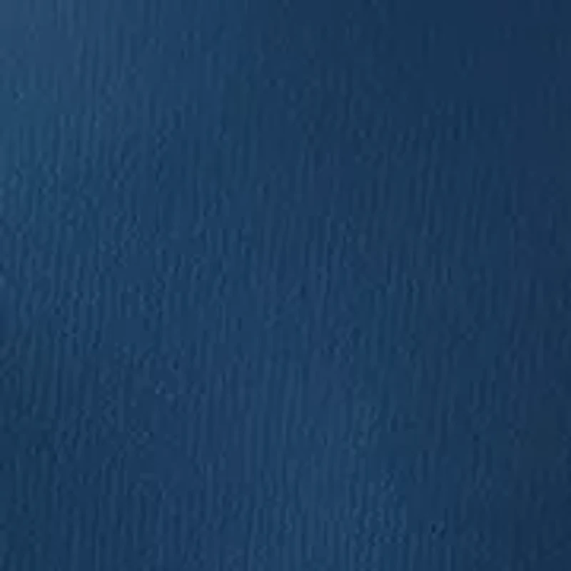 Women's Long Sleeve Mock Neck A-Line Dress