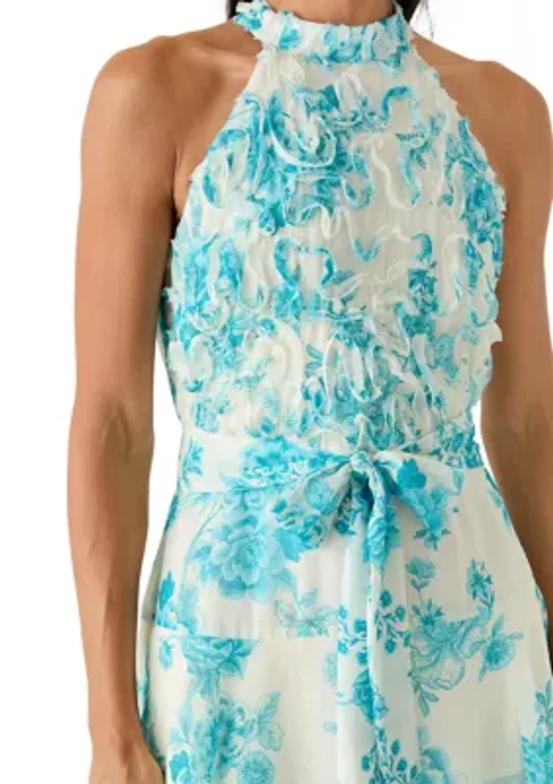 Women's Sleeveless Printed Chiffon A-Line Dress
