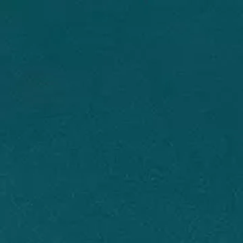 Women's Side Ruched Top with Beaded Sleeves