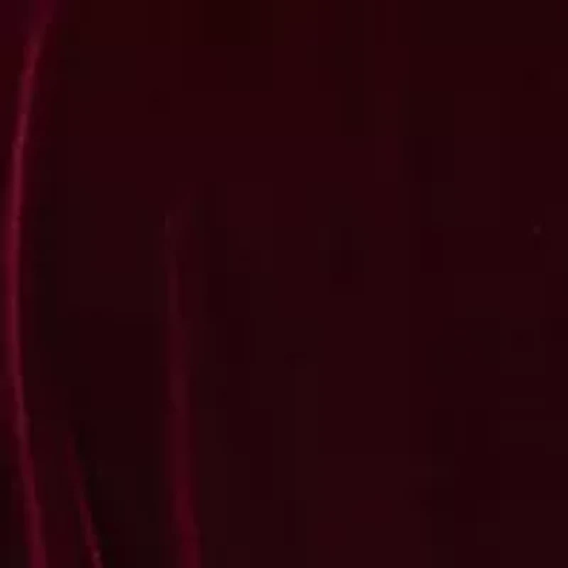 Plus Long Sleeve V-Neck Solid Velvet Fit and Flare Maxi Dress