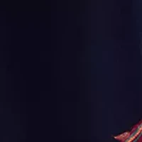 Plus 3-Quarter Sleeve Boat Neck Paisley Print A-Line Dress