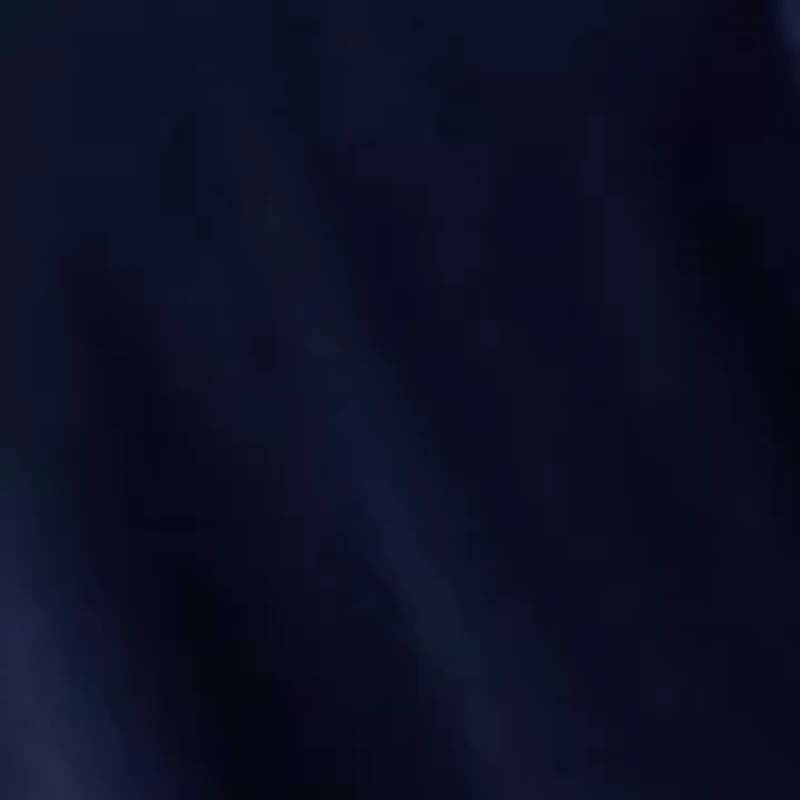 Women's Long Sleeve V-Neck Top