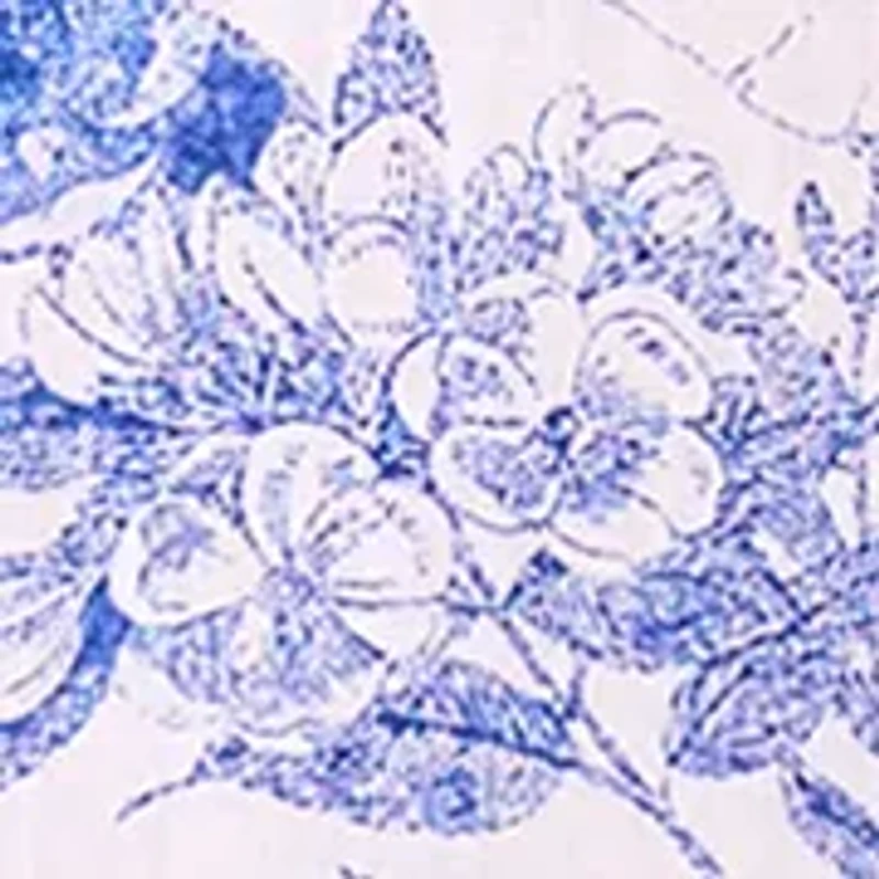 Women's Sleeveless Printed Linen Dress