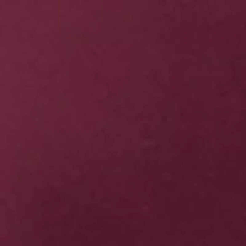 Women's Long Sleeve V-Neck Top