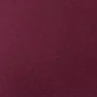 Women's Long Sleeve V-Neck Top