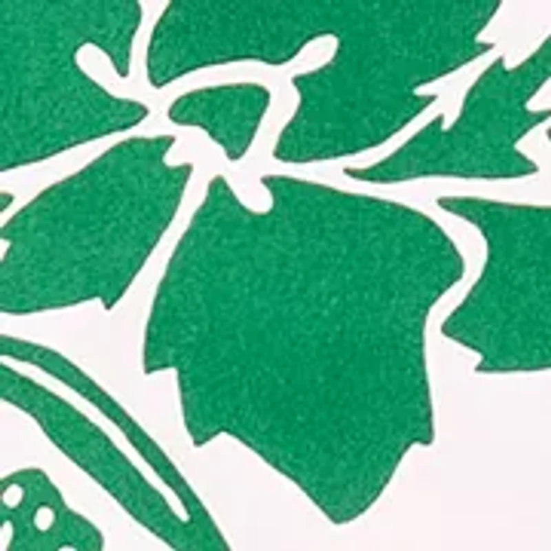 Women's 3/4 Sleeve Printed Shirtdress