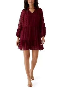 Women's Long Balloon Sleeve Clip Dot Babydoll Dress