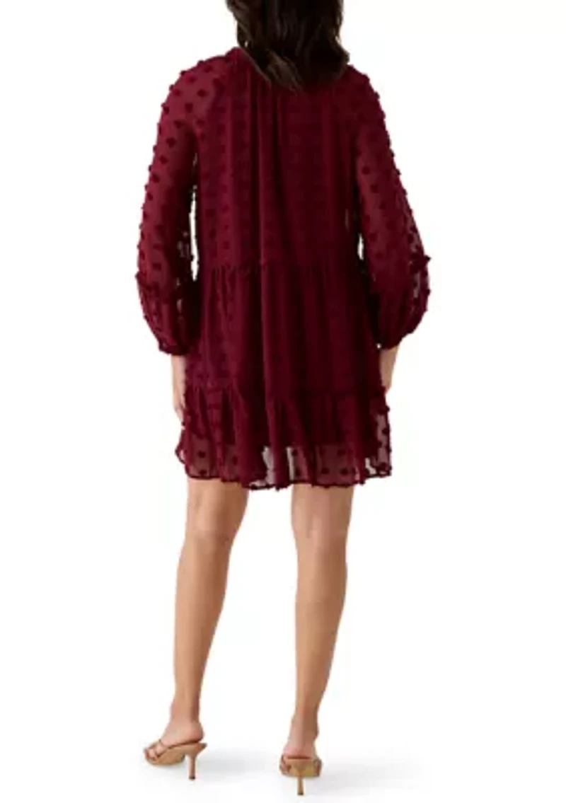 Women's Long Balloon Sleeve Clip Dot Babydoll Dress