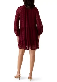 Women's Long Balloon Sleeve Clip Dot Babydoll Dress