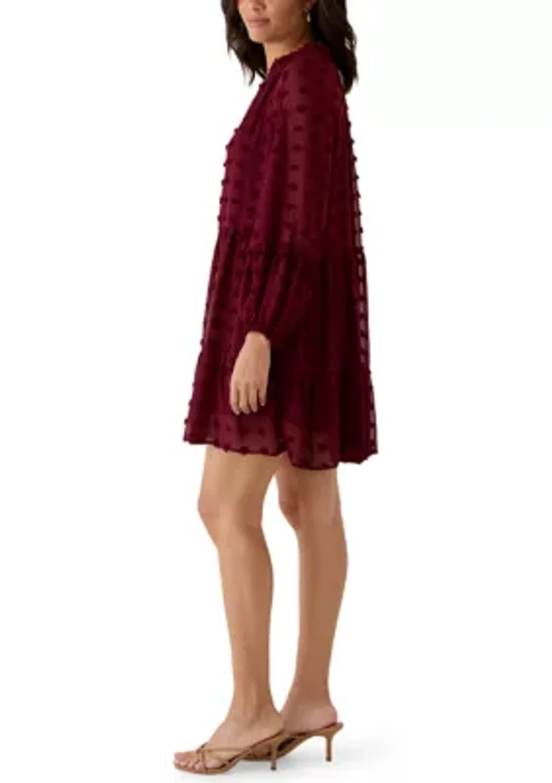 Women's Long Balloon Sleeve Clip Dot Babydoll Dress