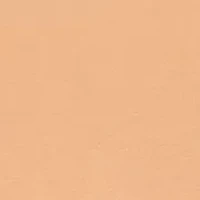 Women's Sleeveless Suede Mini Dress