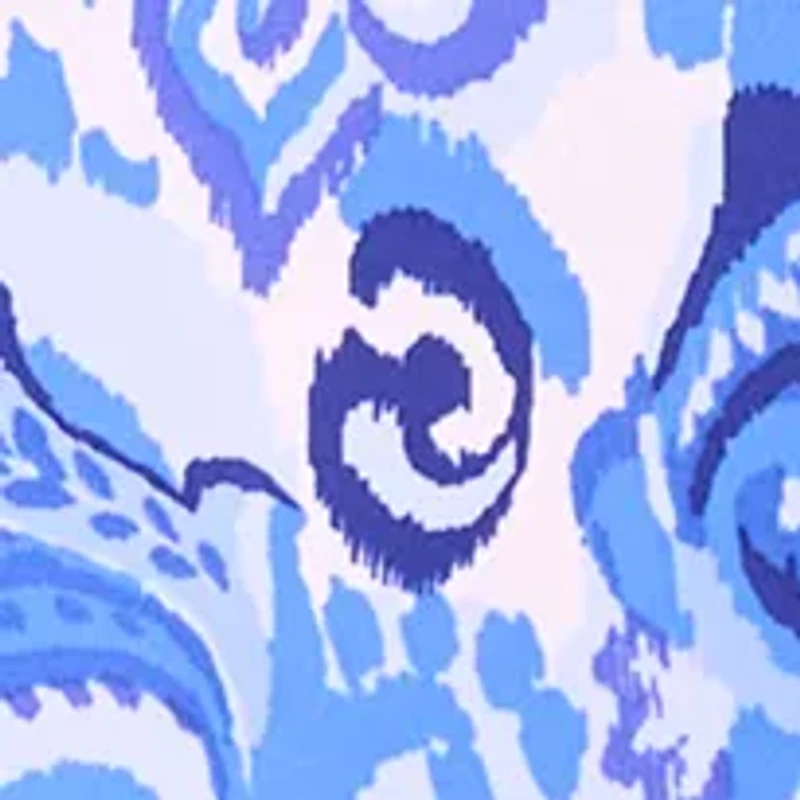 Women's Sleeveless Crew Neck Paisley Print Dress