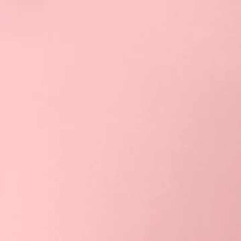 Petite Long Sleeve Smocked Waist Blouse