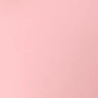 Petite Long Sleeve Smocked Waist Blouse