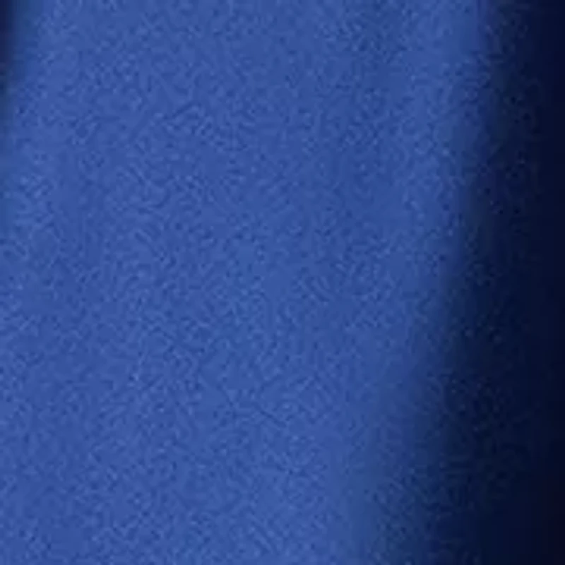 Women's Sheath Satin Corset Drape Dress