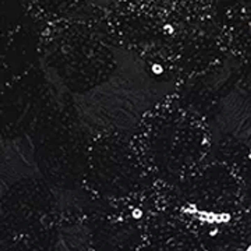 Women's Sleeveless V-Neck Patterned Sequin Gown