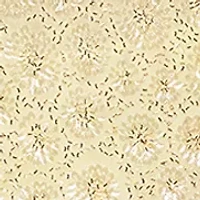 Women's Sleeveless Patterned Sequin Dress