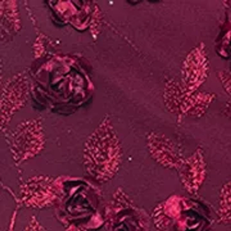 Women's Long Sleeve Fit and Flare Appliqué Gown