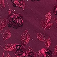 Women's Long Sleeve Fit and Flare Appliqué Gown