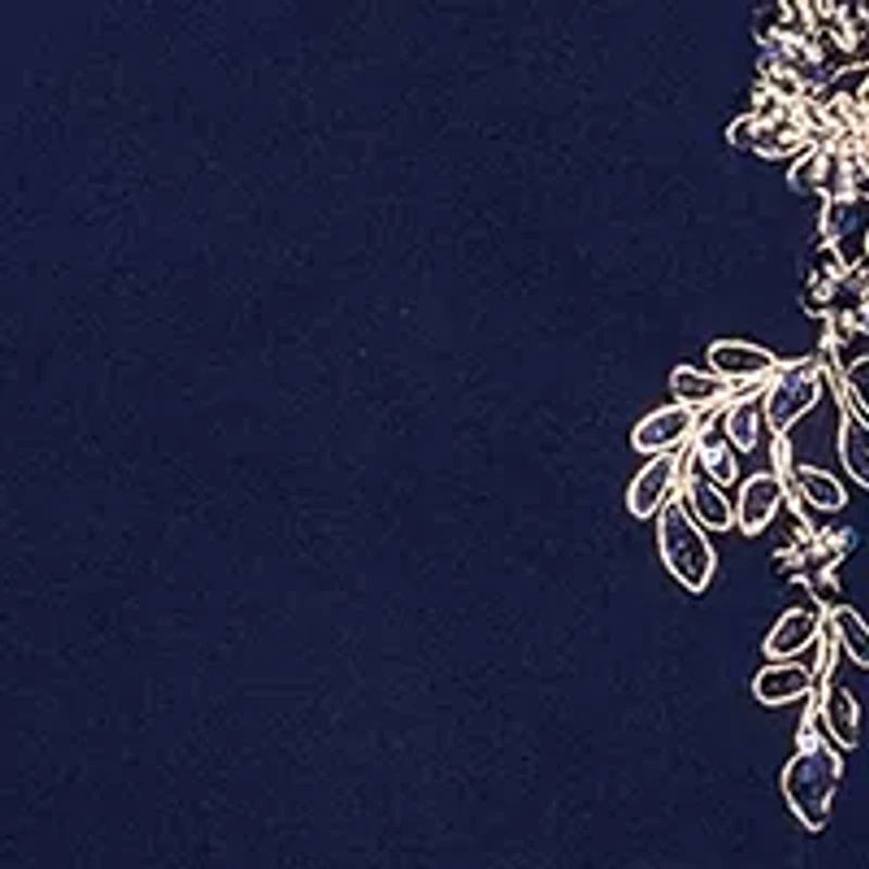 Women's Sleeveless Off the Shoulder Solid Embellished Gown