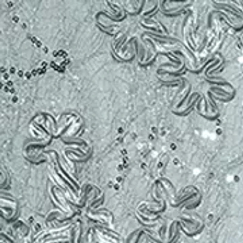 Women's Halter Neck Soutache Lace Gown