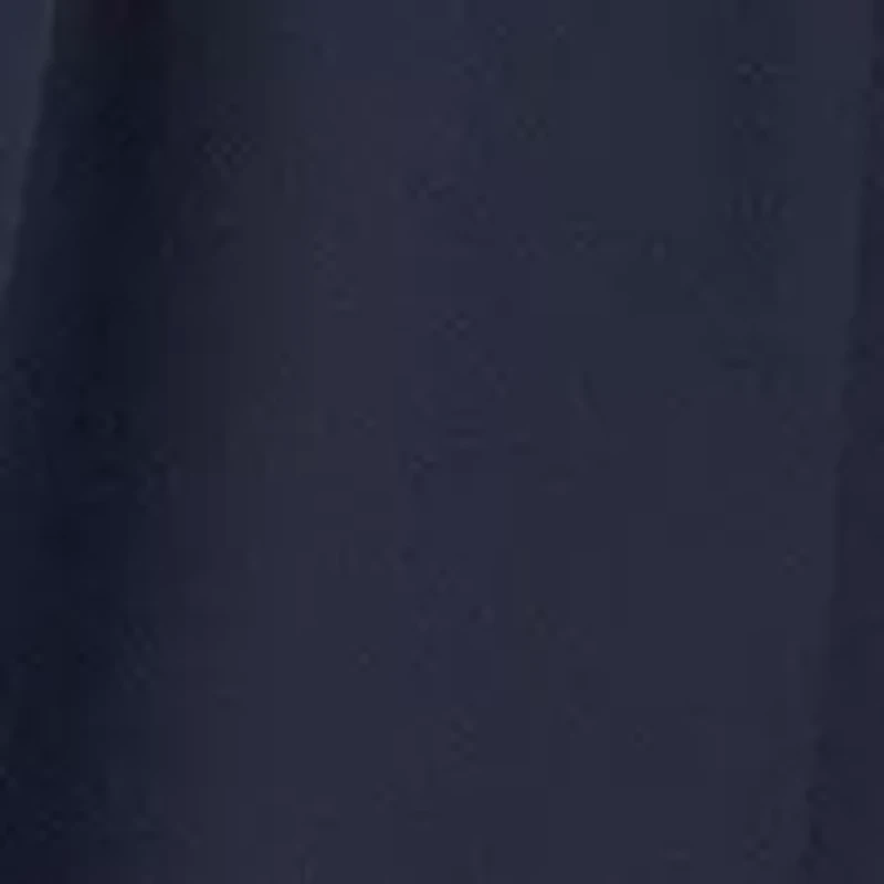 Plus Chiffon Fit and Flare Dress