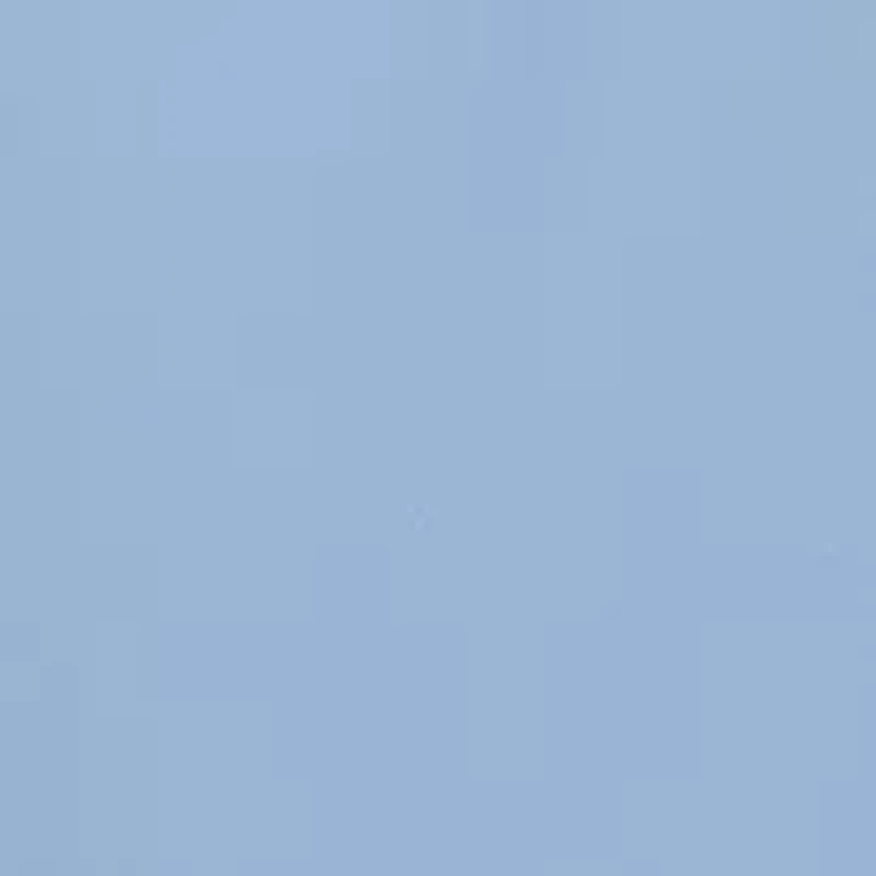 Women's Sleeveless Floral Embroidered Dress