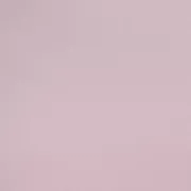 Women's Sleeveless Floral Embroidered Dress