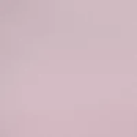 Women's Sleeveless Floral Embroidered Dress