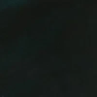 Women's Cap Sleeve Cowl Neck Solid Velvet Sheath Dress