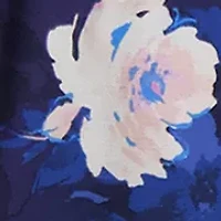 Women's Short Sleeve Floral Babydoll Dress