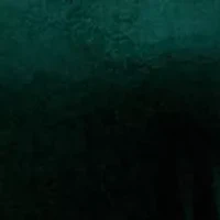 Women's Long Sleeve V-Neck Solid Fit and Flare Dress