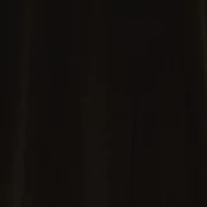 Women's Short Lace Sleeve Solid Shift Dress